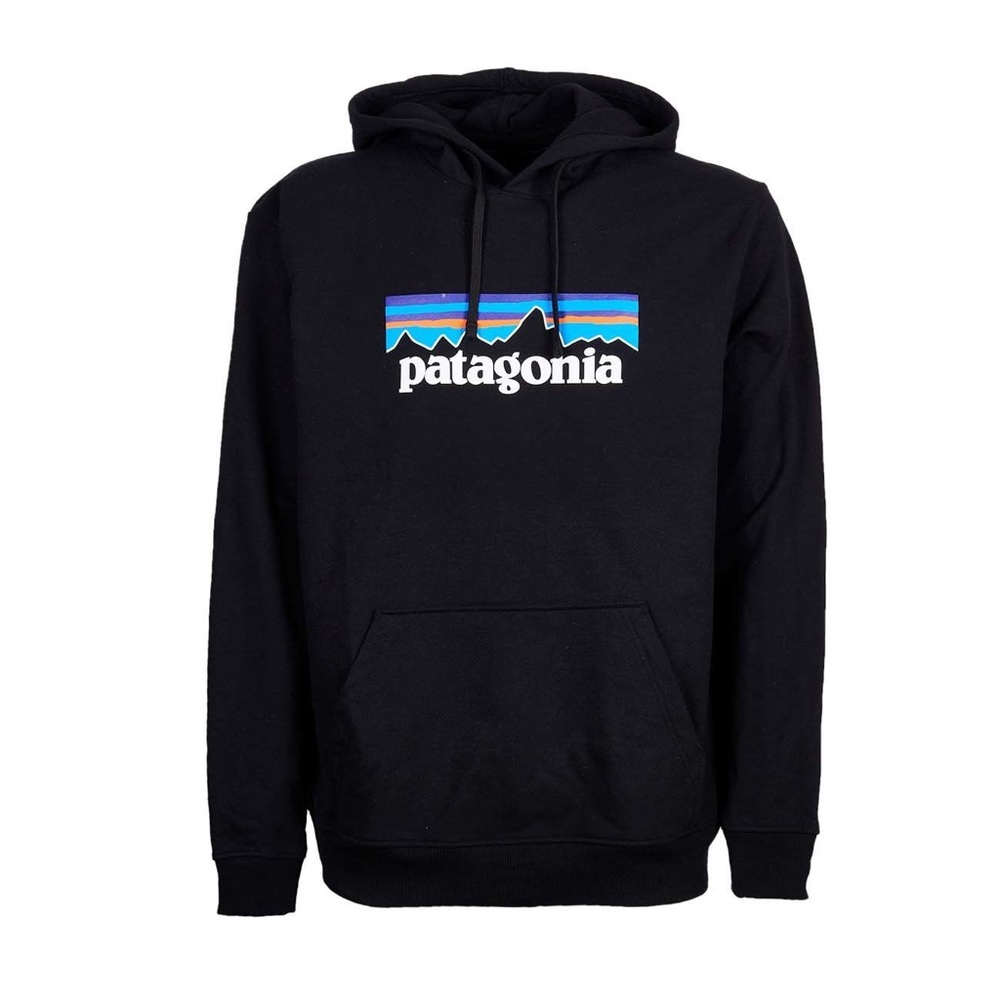 Patagonia Hoodie